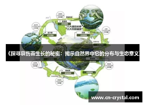 《探寻哀伤苔生长的秘密:揭示自然界中它的分布与生态意义》 《探寻哀伤苔生长的秘密:揭示自然界中它的分布与生态意义》